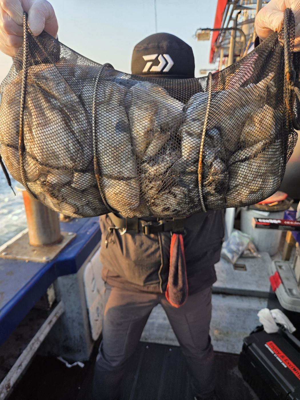 10월28일 뉴대성호 주꾸미조황