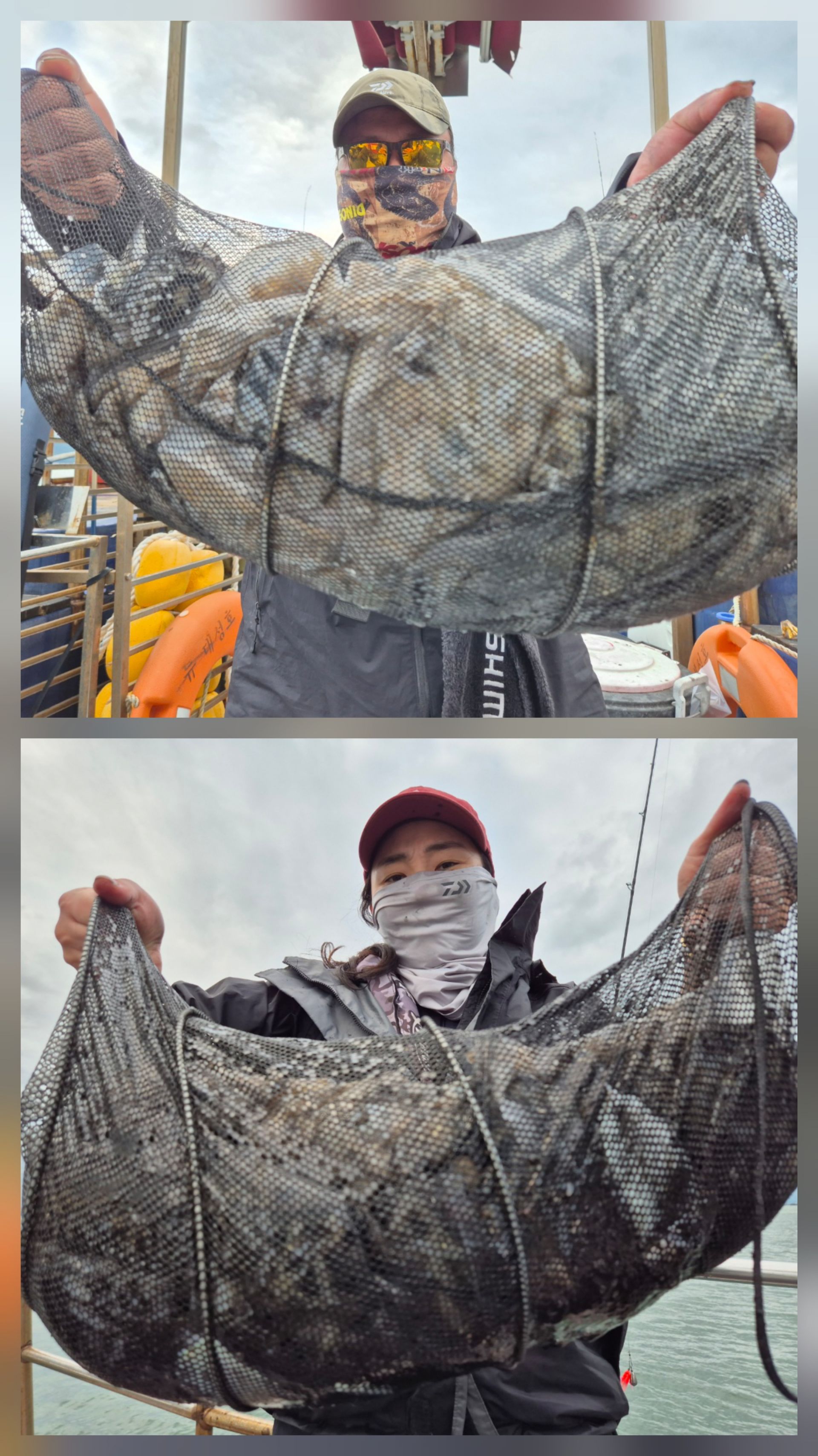 10월9일 뉴대성호 주꾸미조황