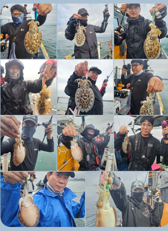 10월 5일 대성호 갑오징어 조황입니다~