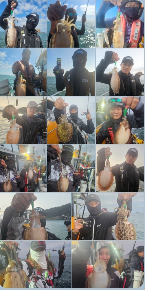 10월 11일 대성호 갑오징어 조황입니다