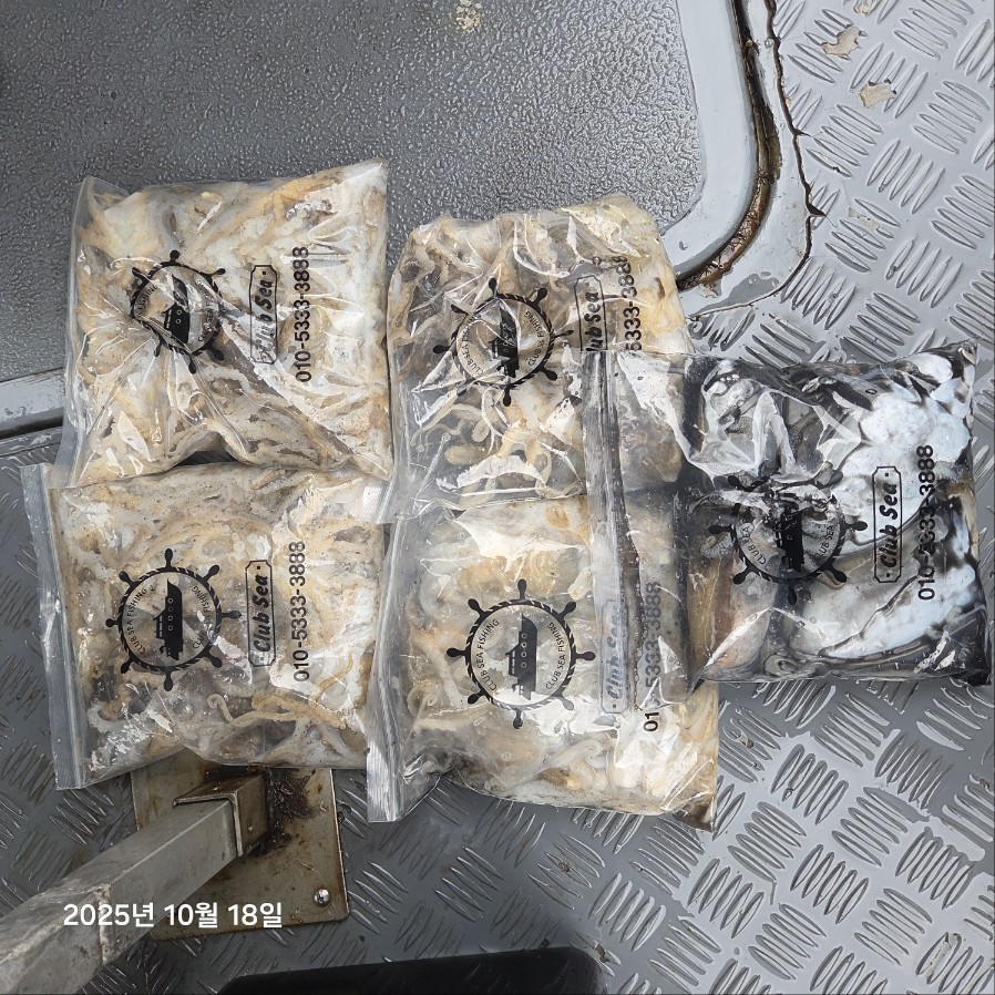 10월 18일 마린호 쭈조황입니다