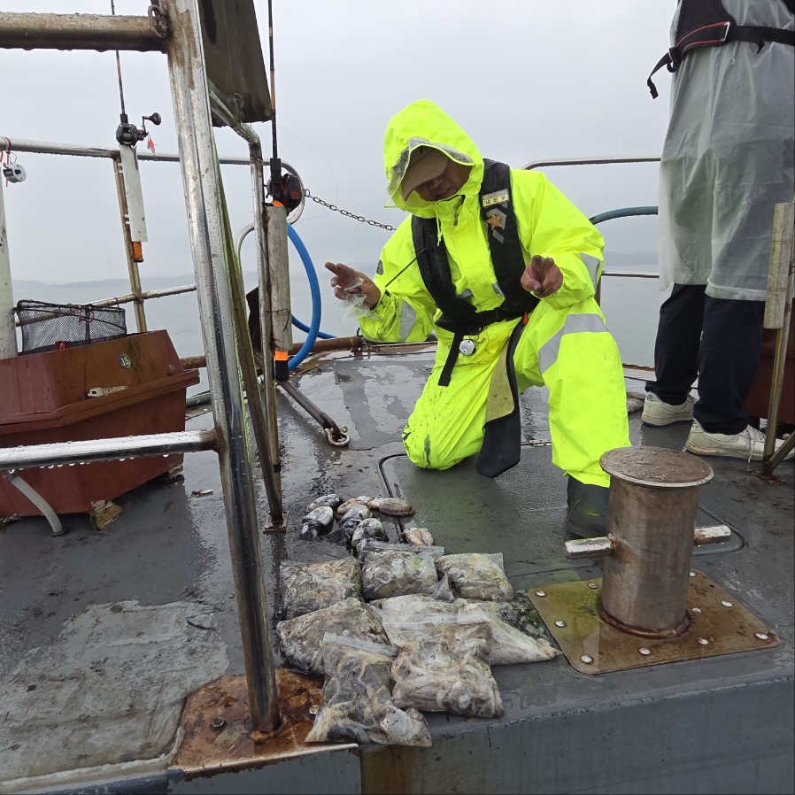 10월 7일 마린호 쭈조황입니다