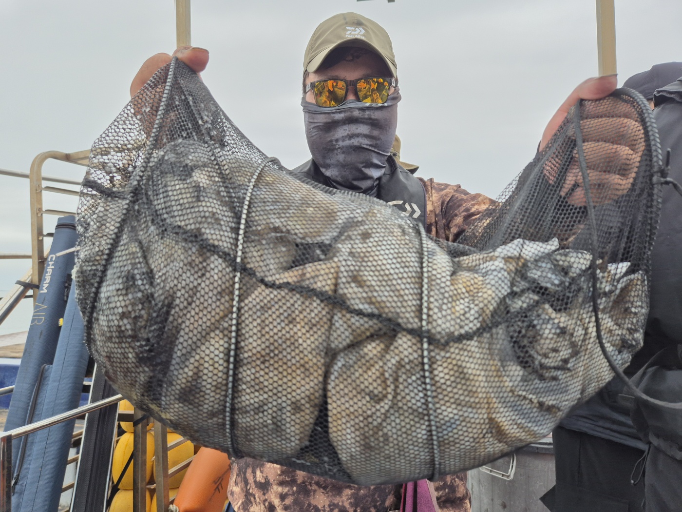 10월17일 뉴대성호 주꾸미조황