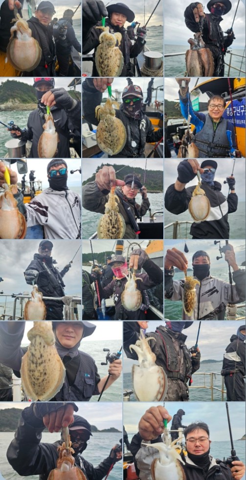 10월 10일 대성호 갑오징어 조황입니다