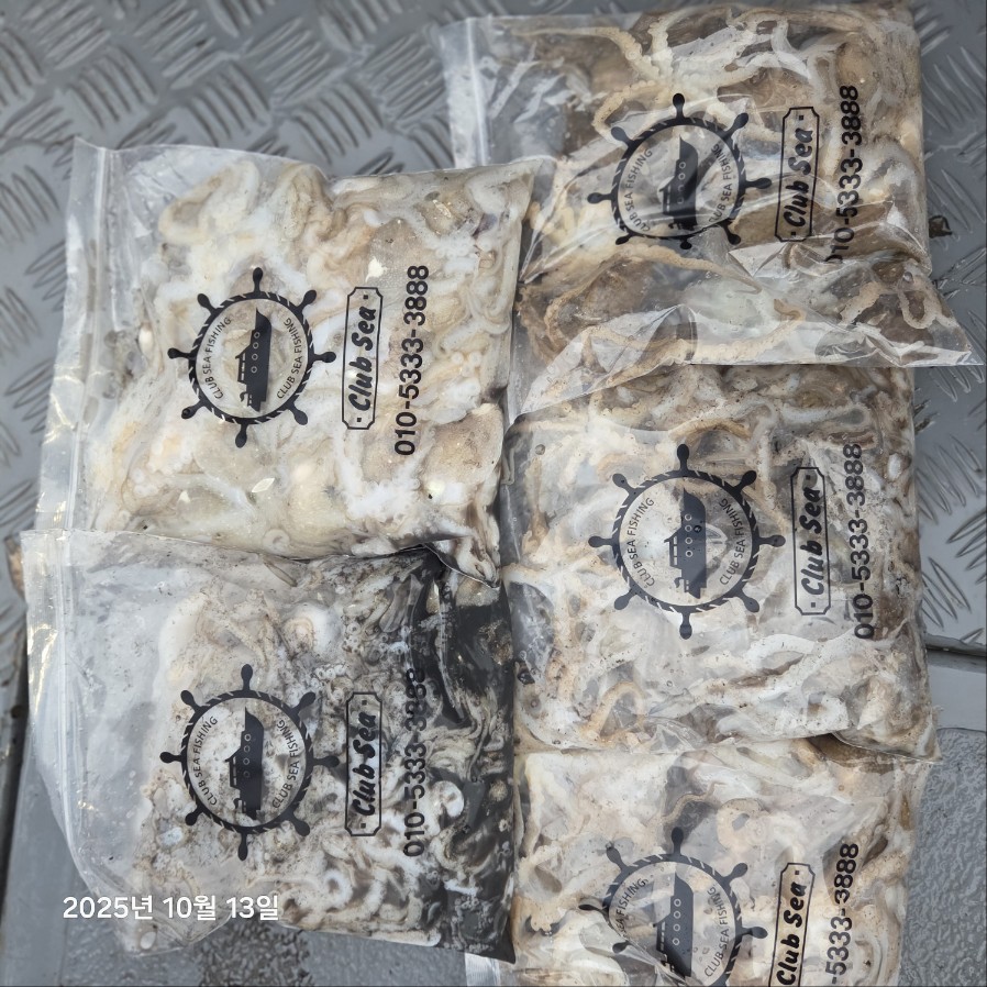 10월 13일 마린호 쭈조황입니다