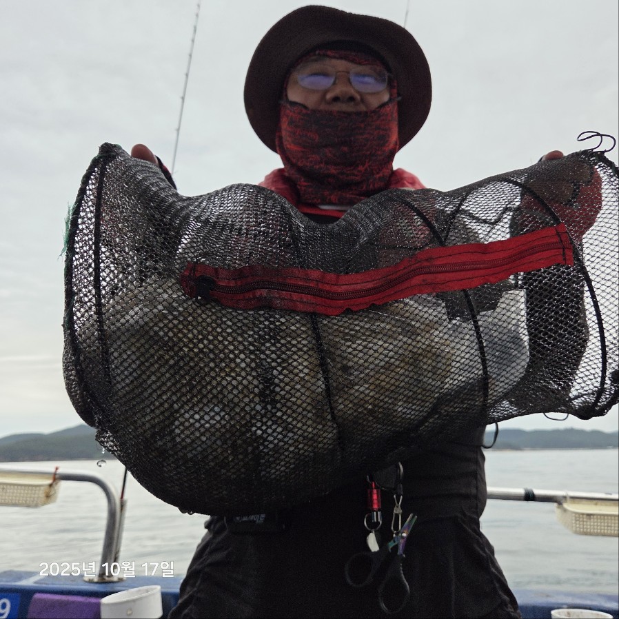 10월 17일 마린호 쭈조황입니다