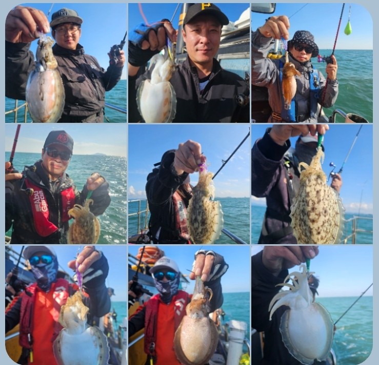 10월 23일 대성호 갑오징어 조황입니다