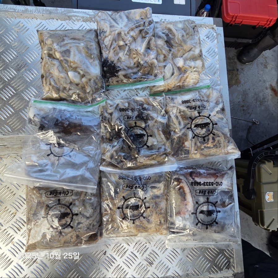 10월 25일 마린호 쭈조황입니다