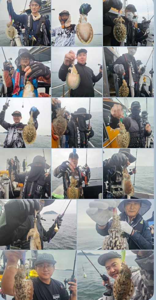 10월 2일 대성호 갑오징어 조황입니다