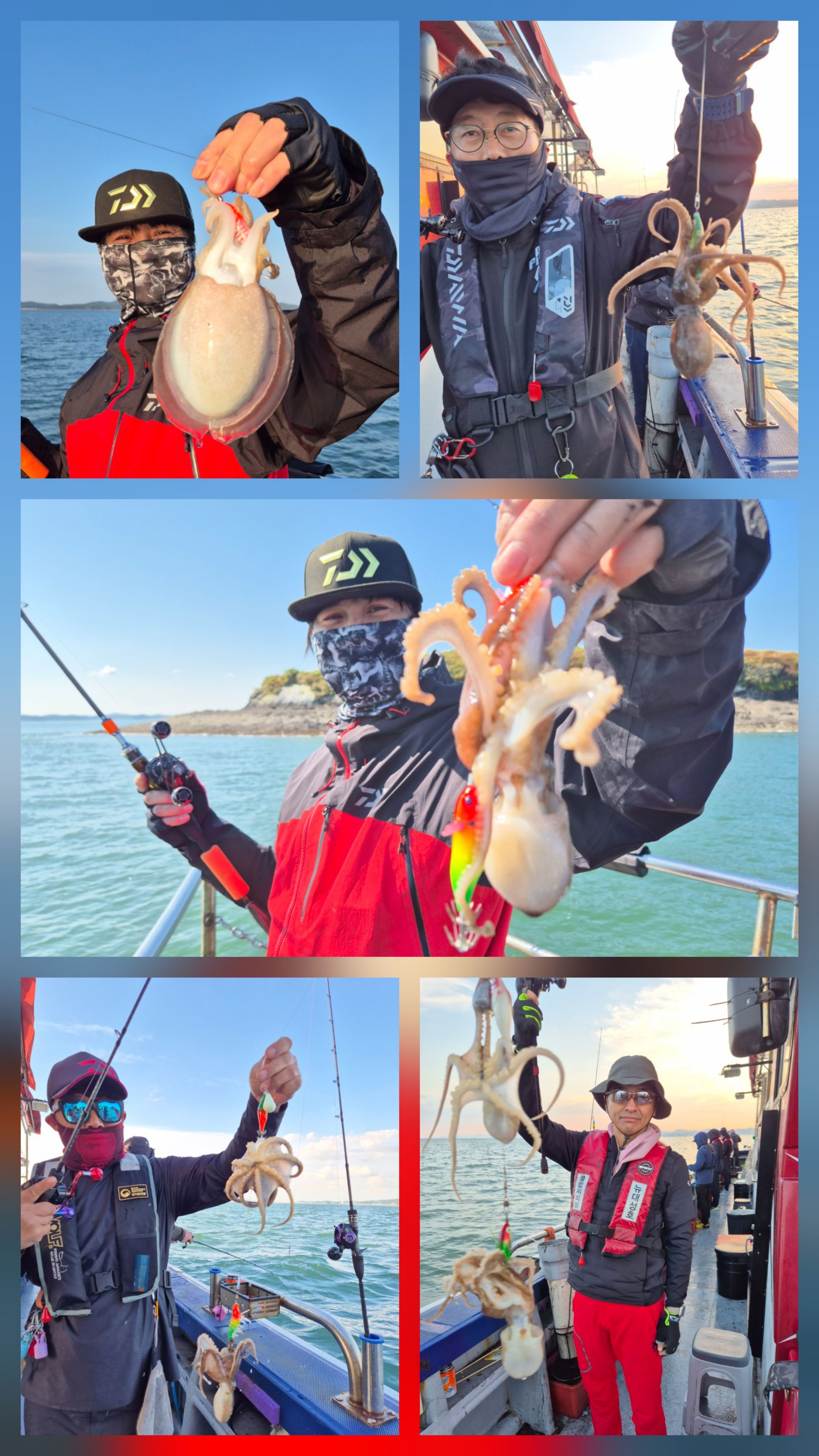 10월24일 뉴대성호 주꾸미조황