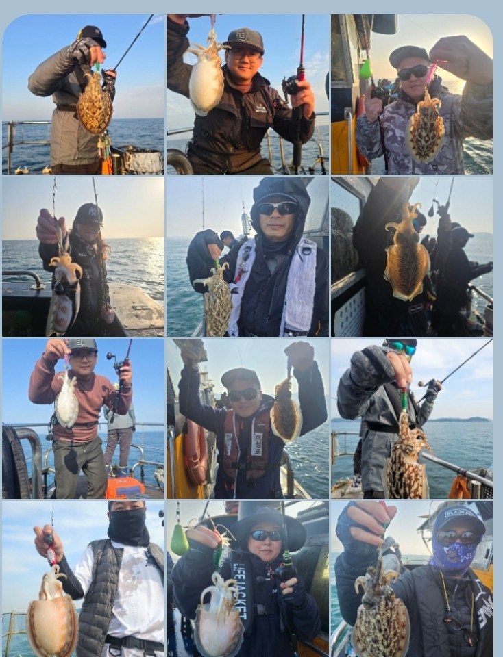 10월 31일 대성호먼~바다 갑오징어 조황입니다