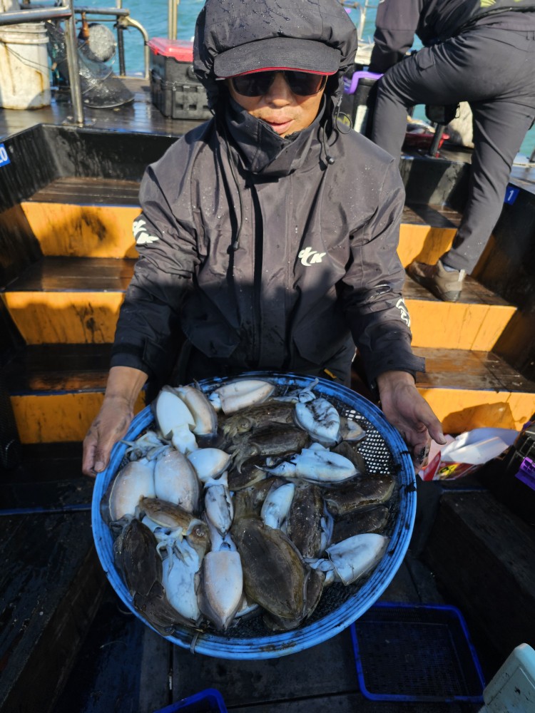 10월 25일 대성호 싸이즈 갑오징어 조황입니다