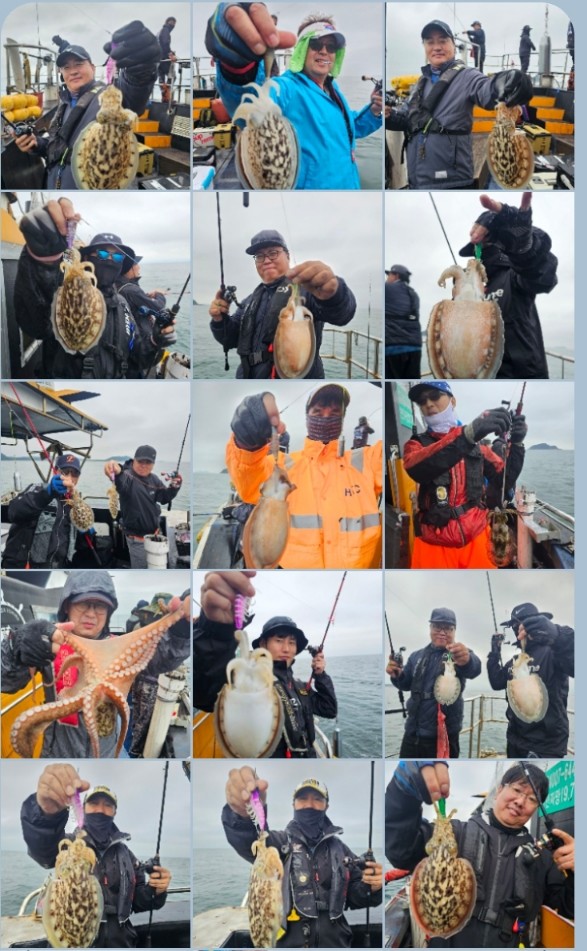 10월 14일 대성호 싸이즈 갑오징어 조황입니다