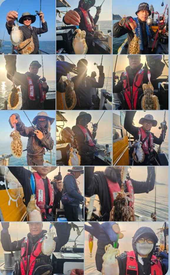 10월 1일 대성호 갑오징어 조황입니다