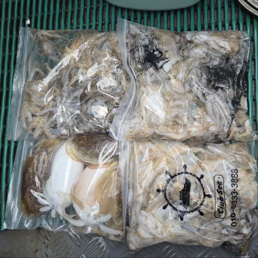 10월 10일  마린호 쭈조황입니다