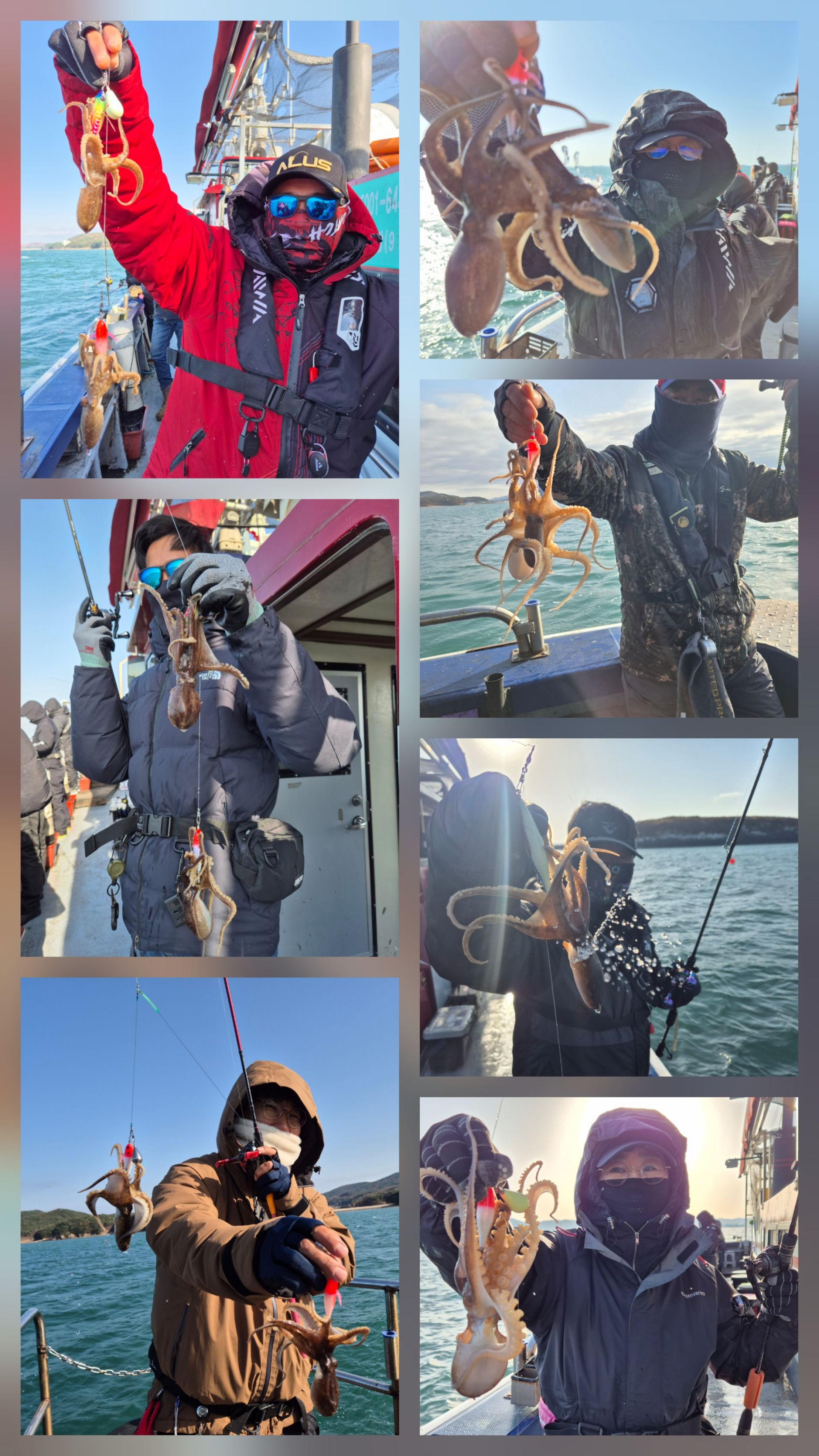 11월29일 뉴대성호 주꾸미조황