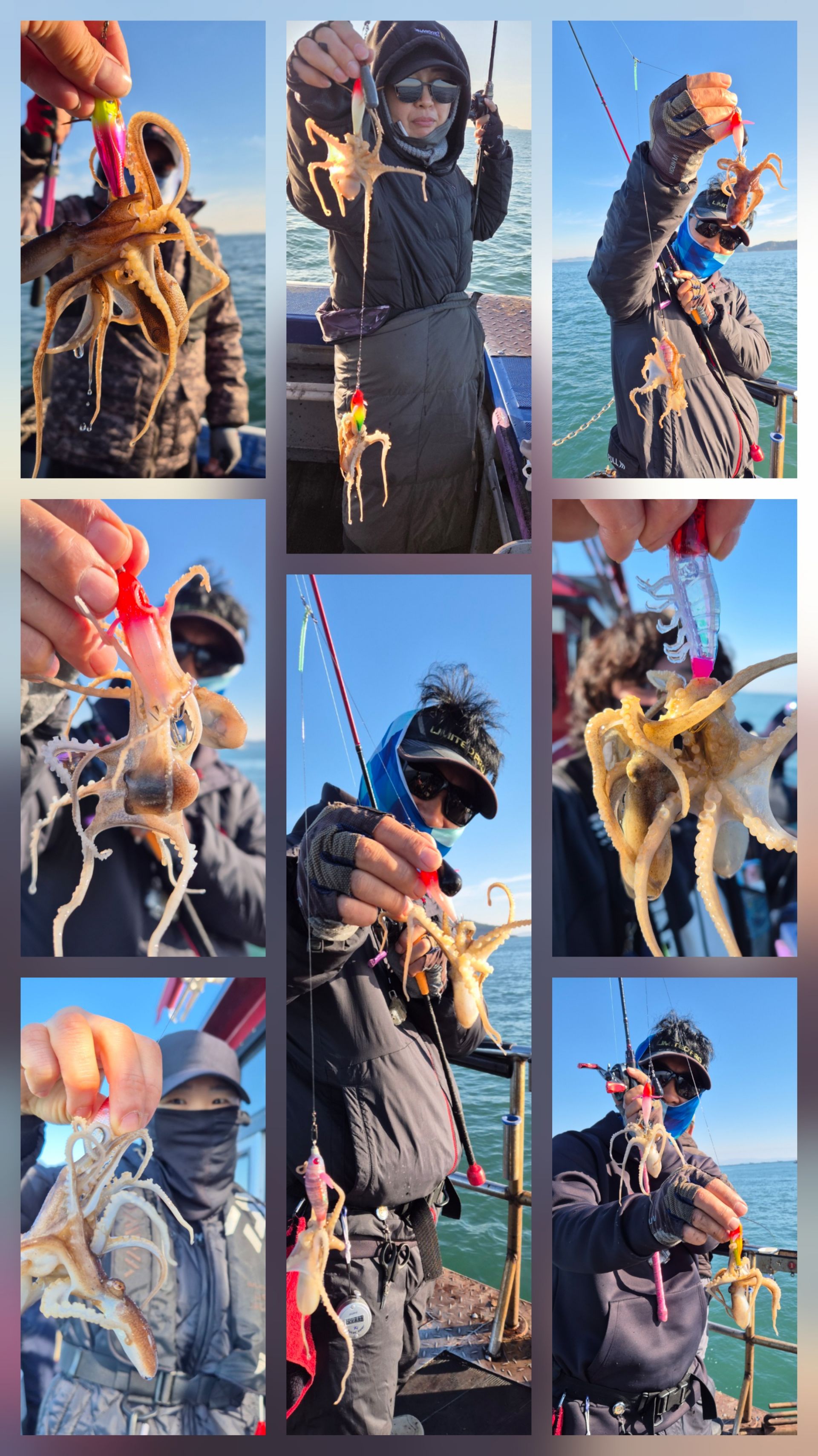 11월15일 뉴대성호 주꾸미조황