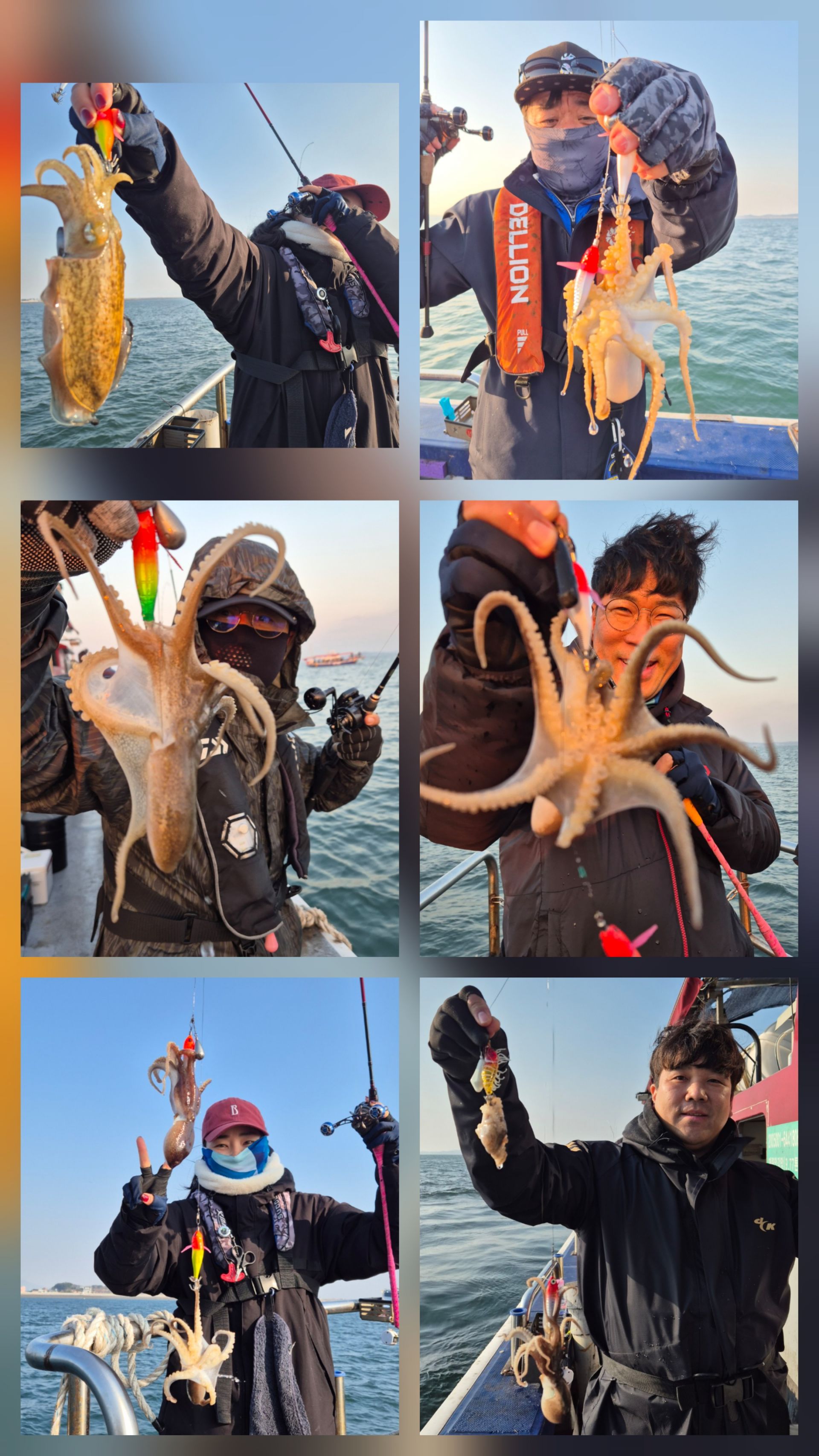 11월22일 뉴대성호 주꾸미조황