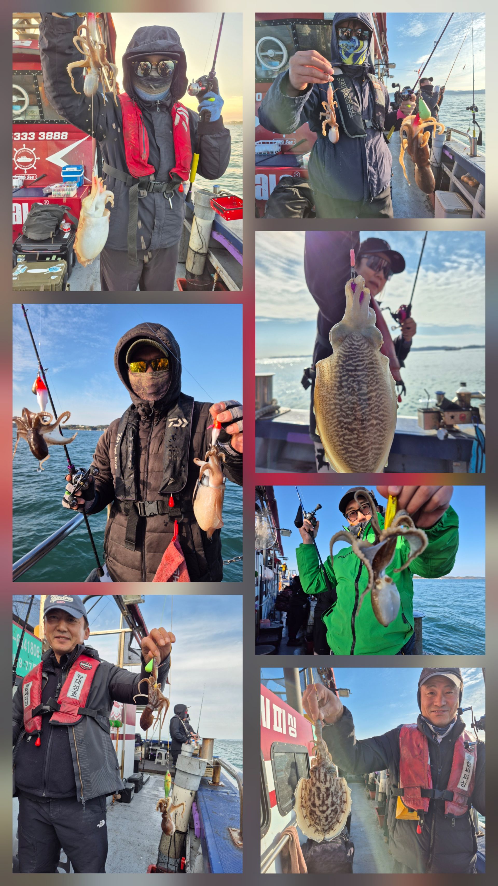 11월11일 뉴대성호 주꾸미조황