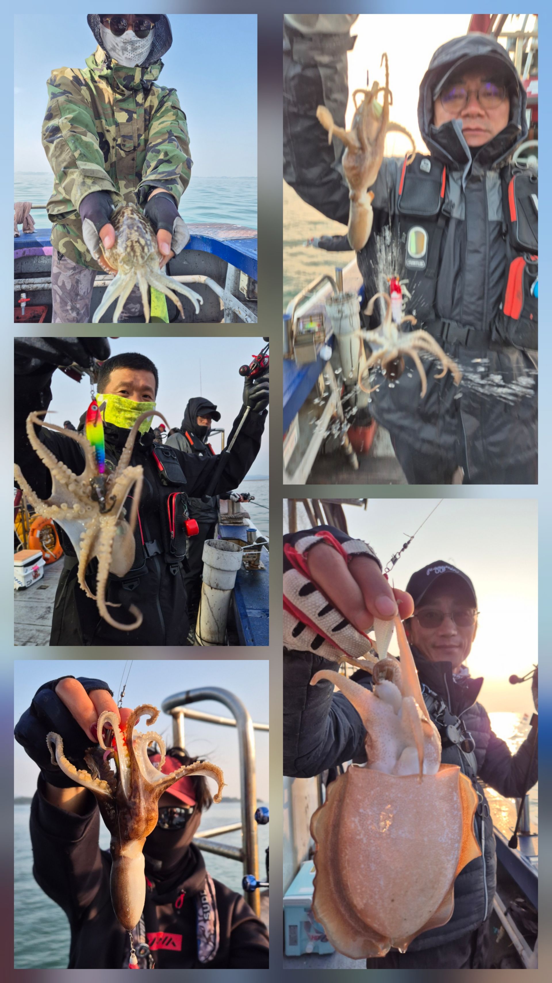 11월5일 뉴대성호 주꾸미조황