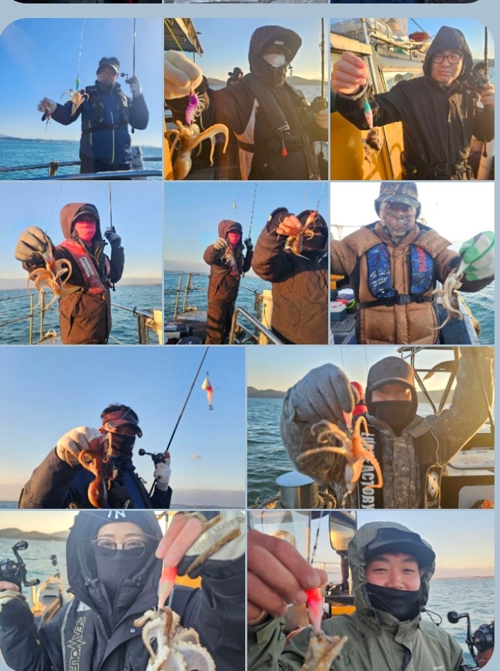 11월 28일 대성호 주꾸미 조황입니다