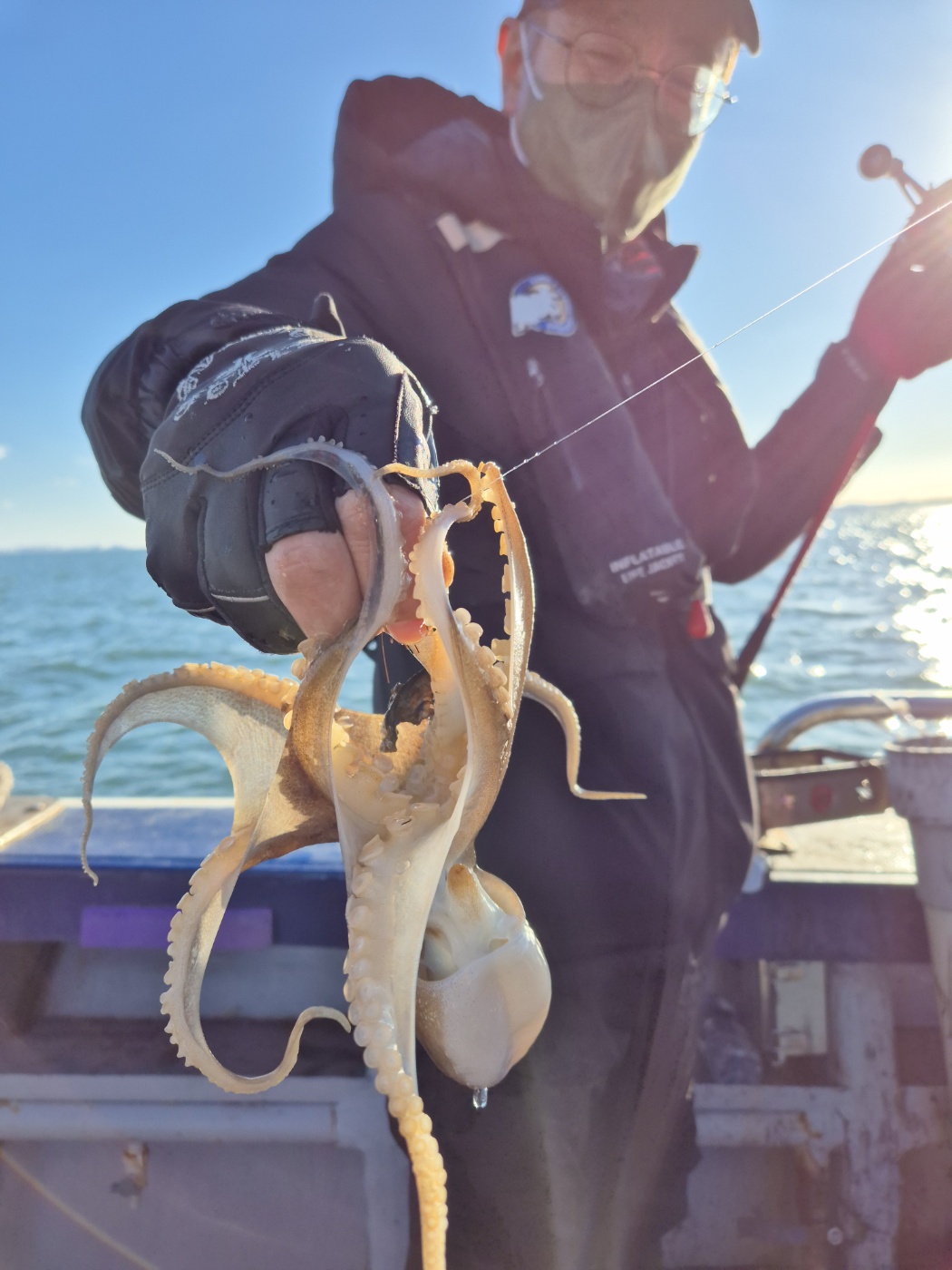 11월21일 뉴대성호 주꾸미조황