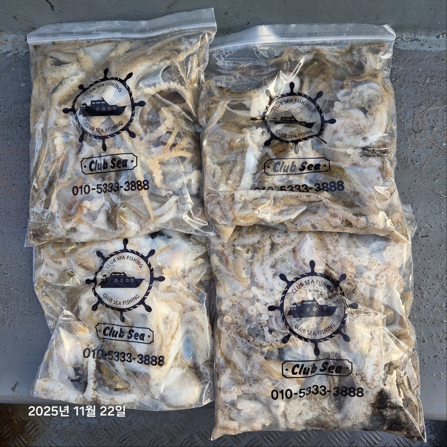 11월 22일 마린호 쭈조황입니다