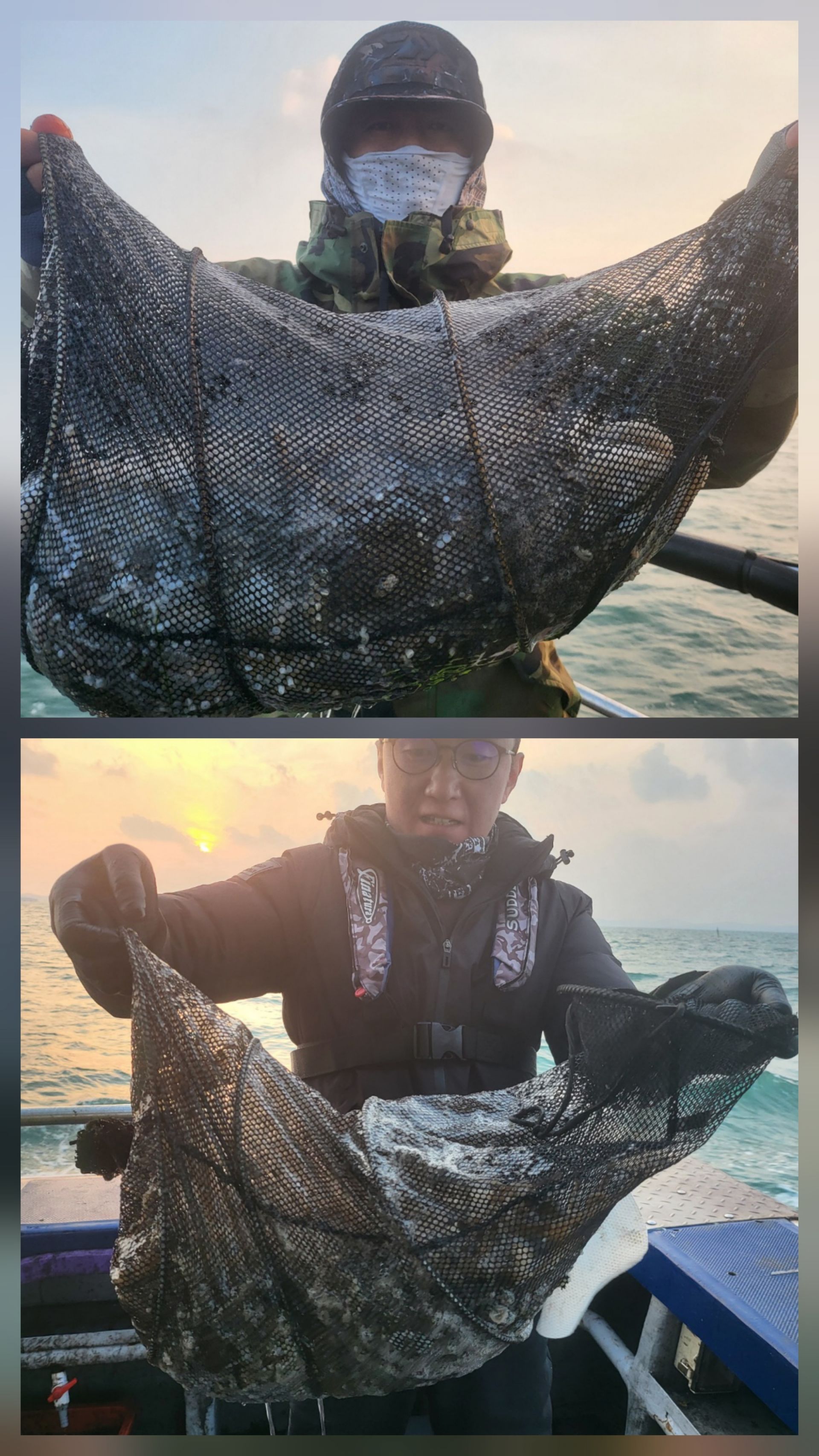 11월20일 뉴대성호 주꾸미조홭