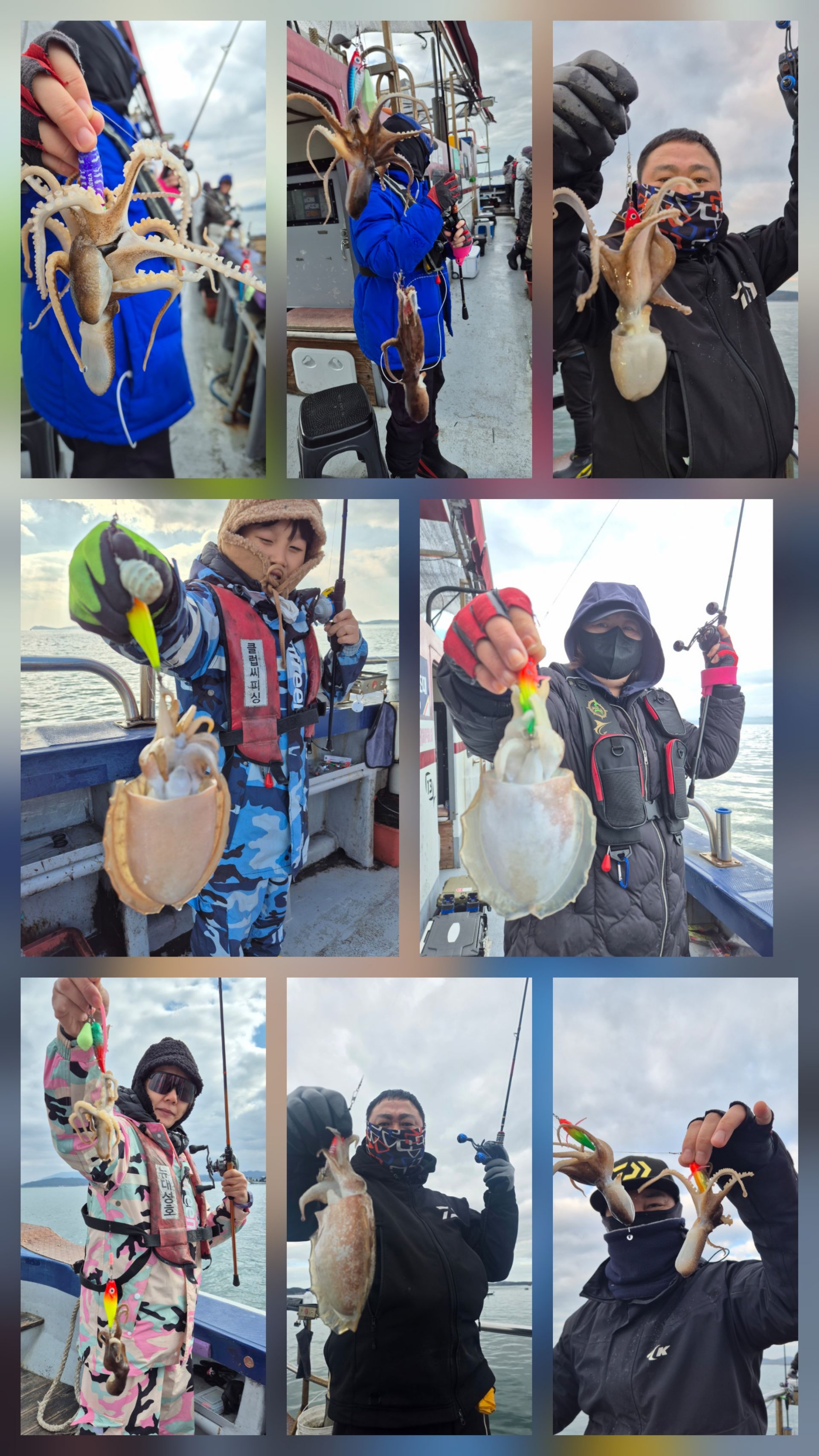 11월26일 뉴대성호 주꾸미조황