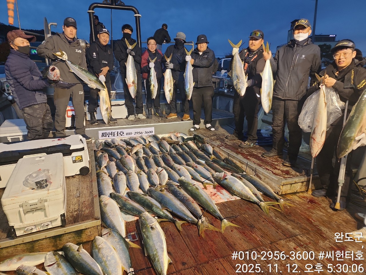 11뭘12일 수요일 완도 씨헌터호 방어 초대박조황입니다