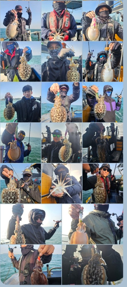 11월 9일 대성호 왕 갑오징어 조황입니다