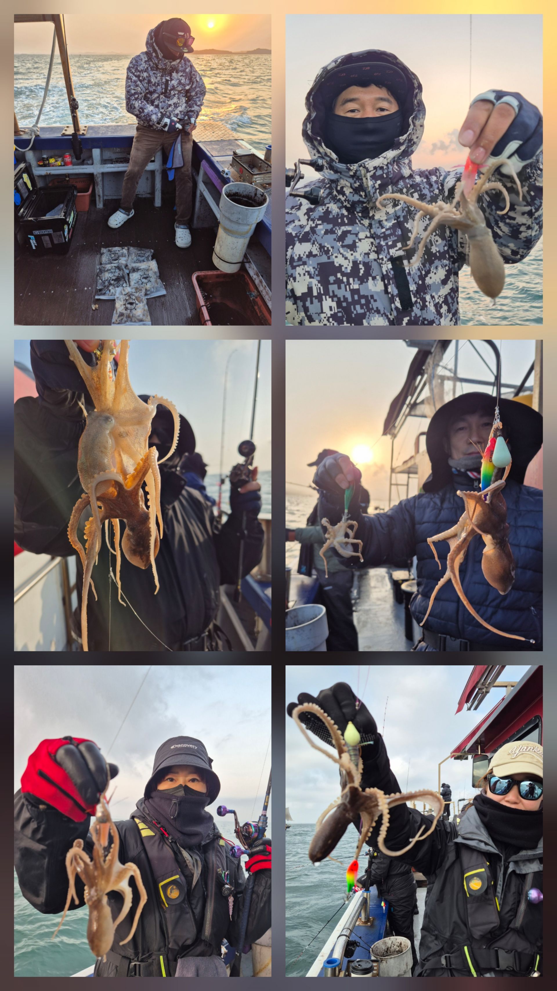 11월30일 뉴대성호 주꾸미조황