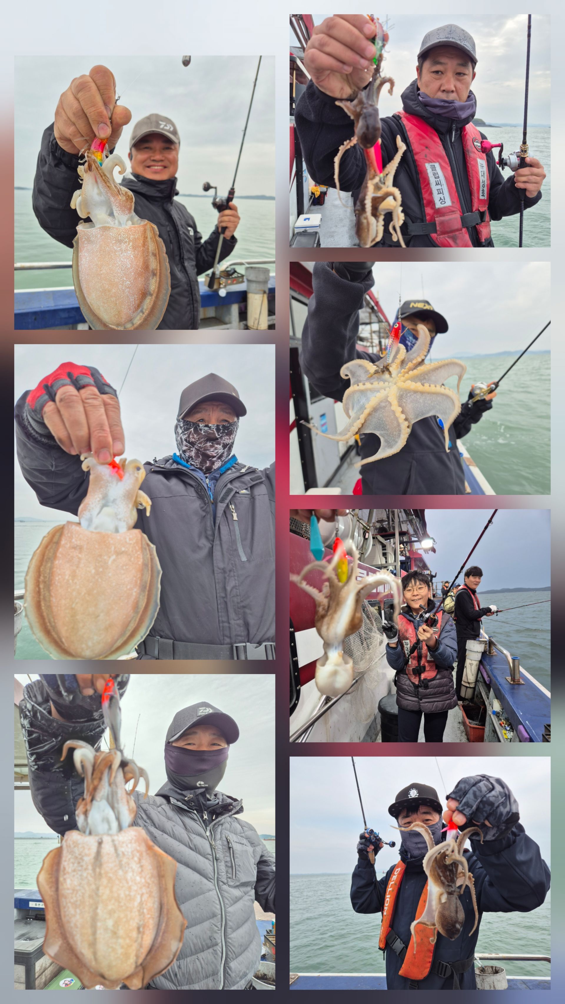 11월8일 뉴대성호 주꾸미조황