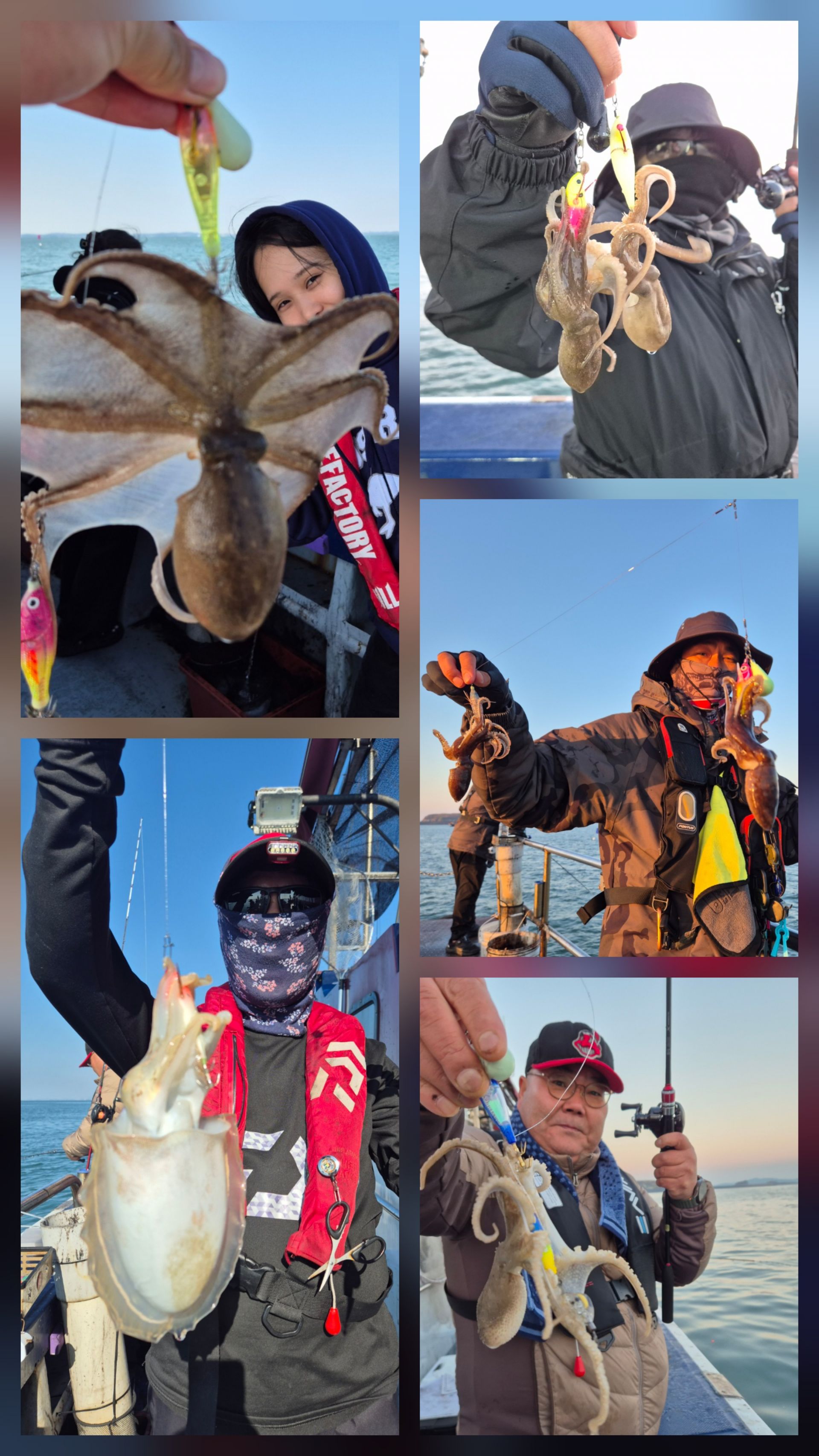 11월4일 뉴대성호 주꾸미조황