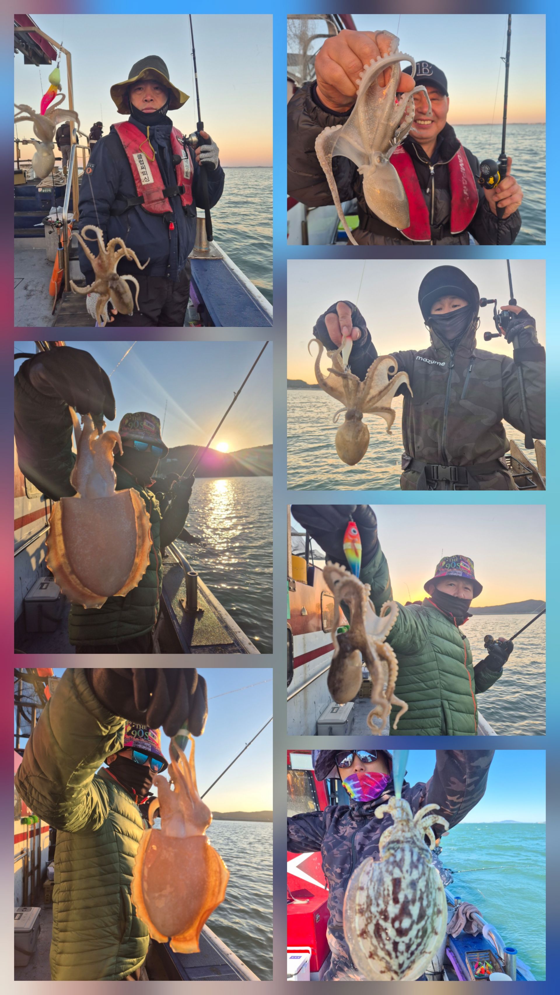 11월10일 뉴대성호 주꾸미조황