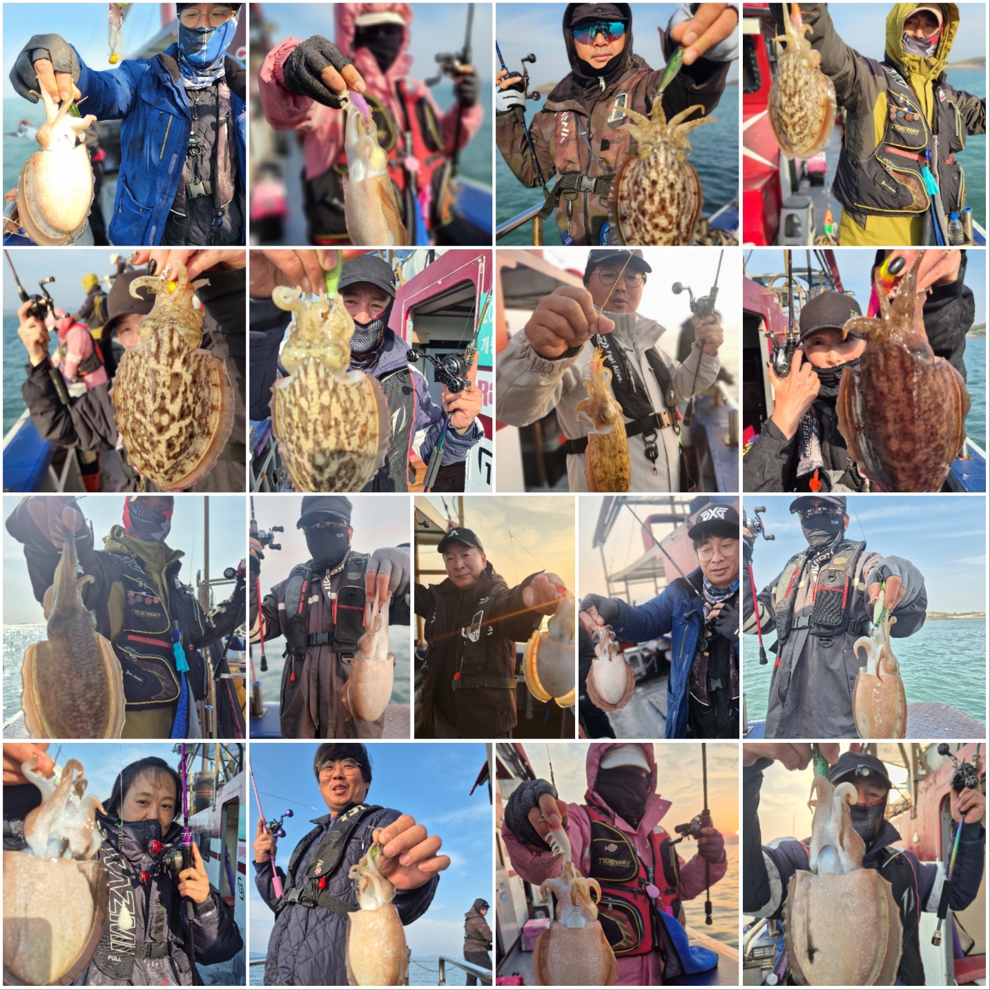 11월6일 뉴대성호 주꾸미조황