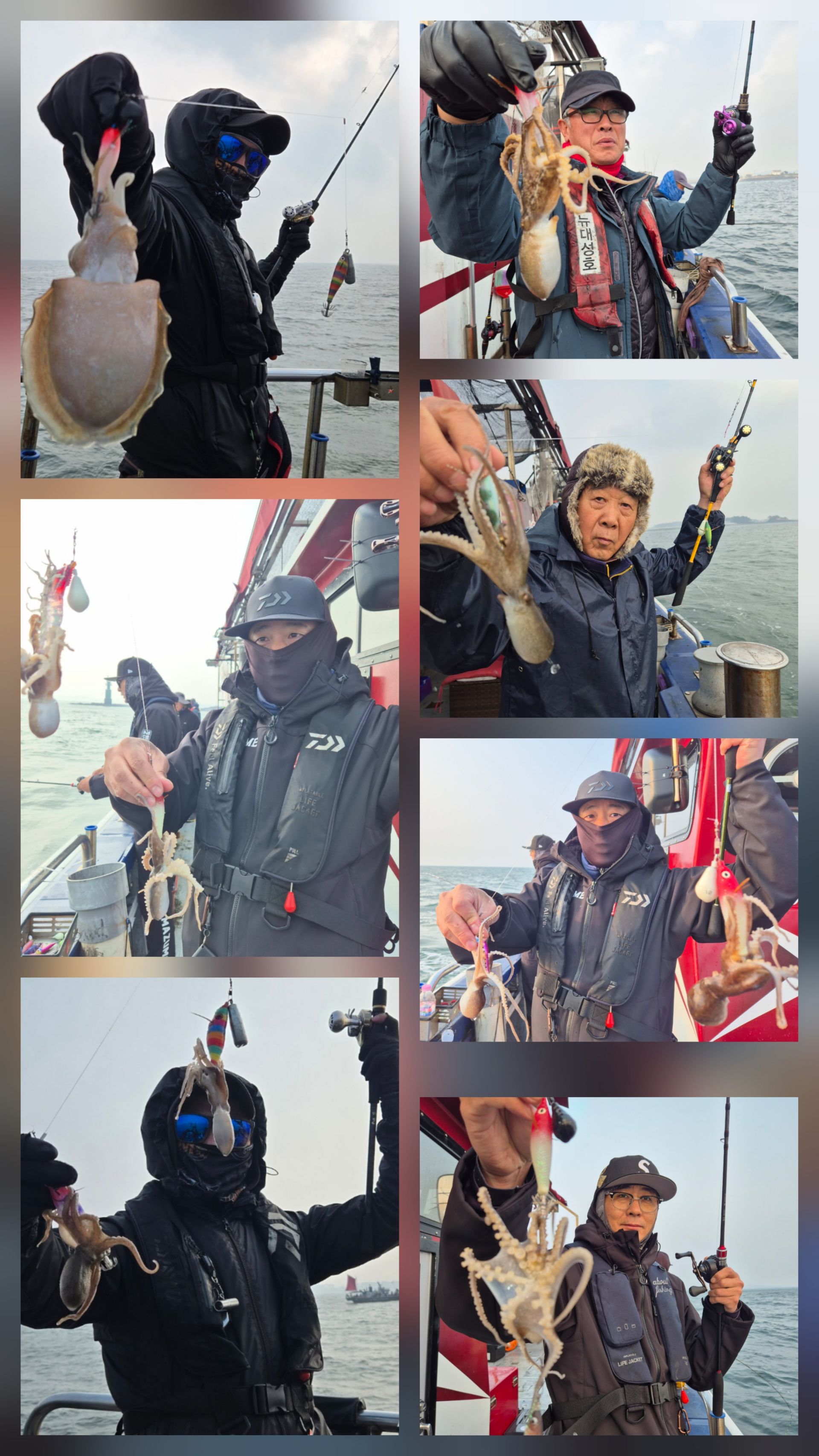 11월24일 뉴대성호 주꾸미조황