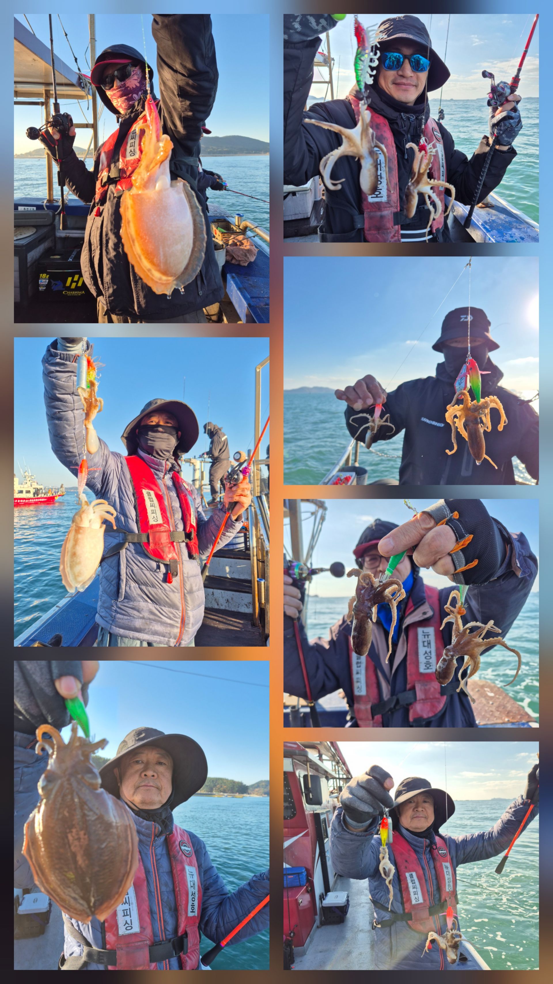 11월14일 뉴대성호 주꾸미조황