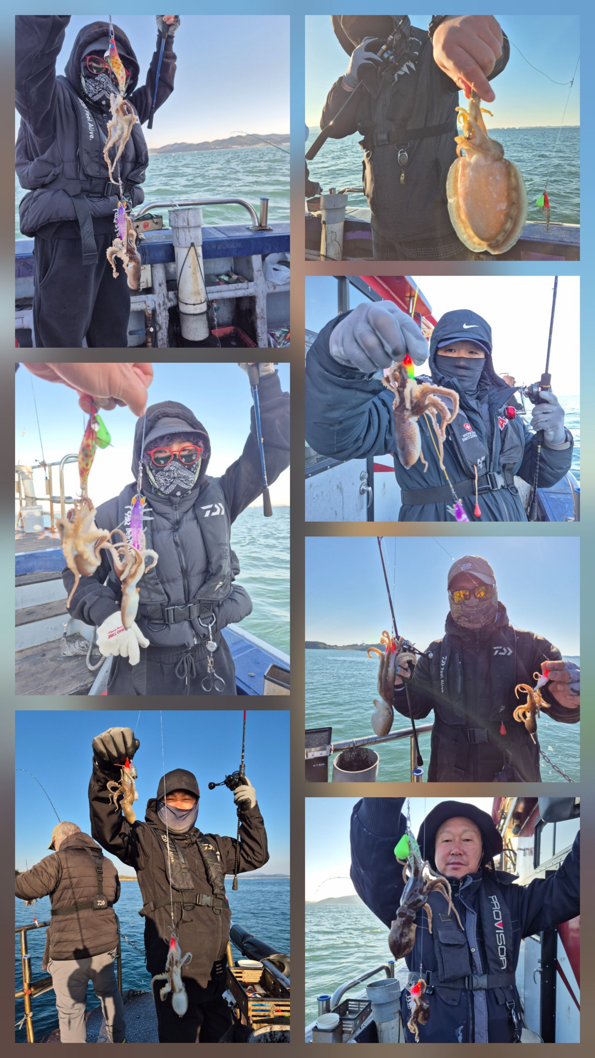 11월3일 뉴대성호 주꾸미조황