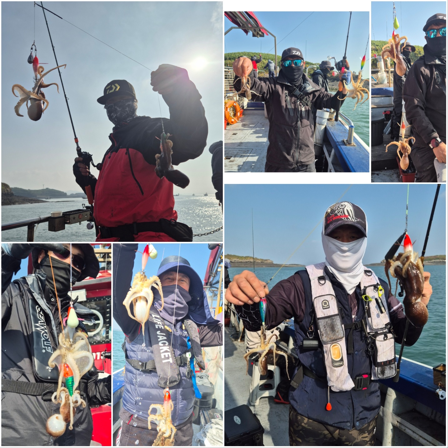 11월9일 뉴대성호 주꾸미조황