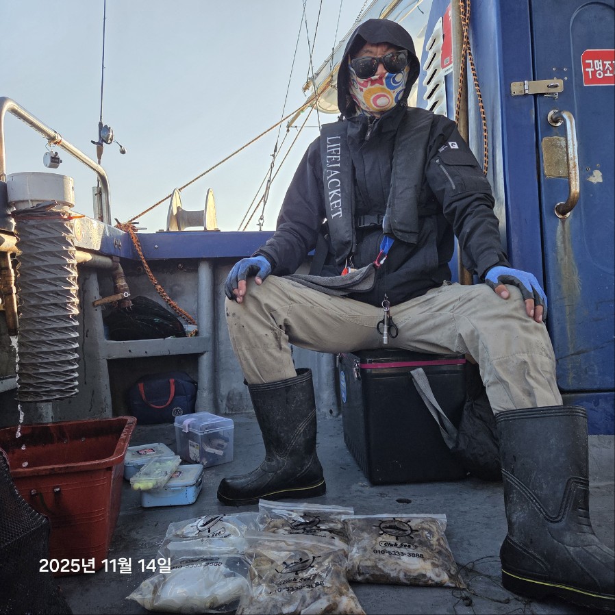 11월 14일 마린호 쭈조황입니다