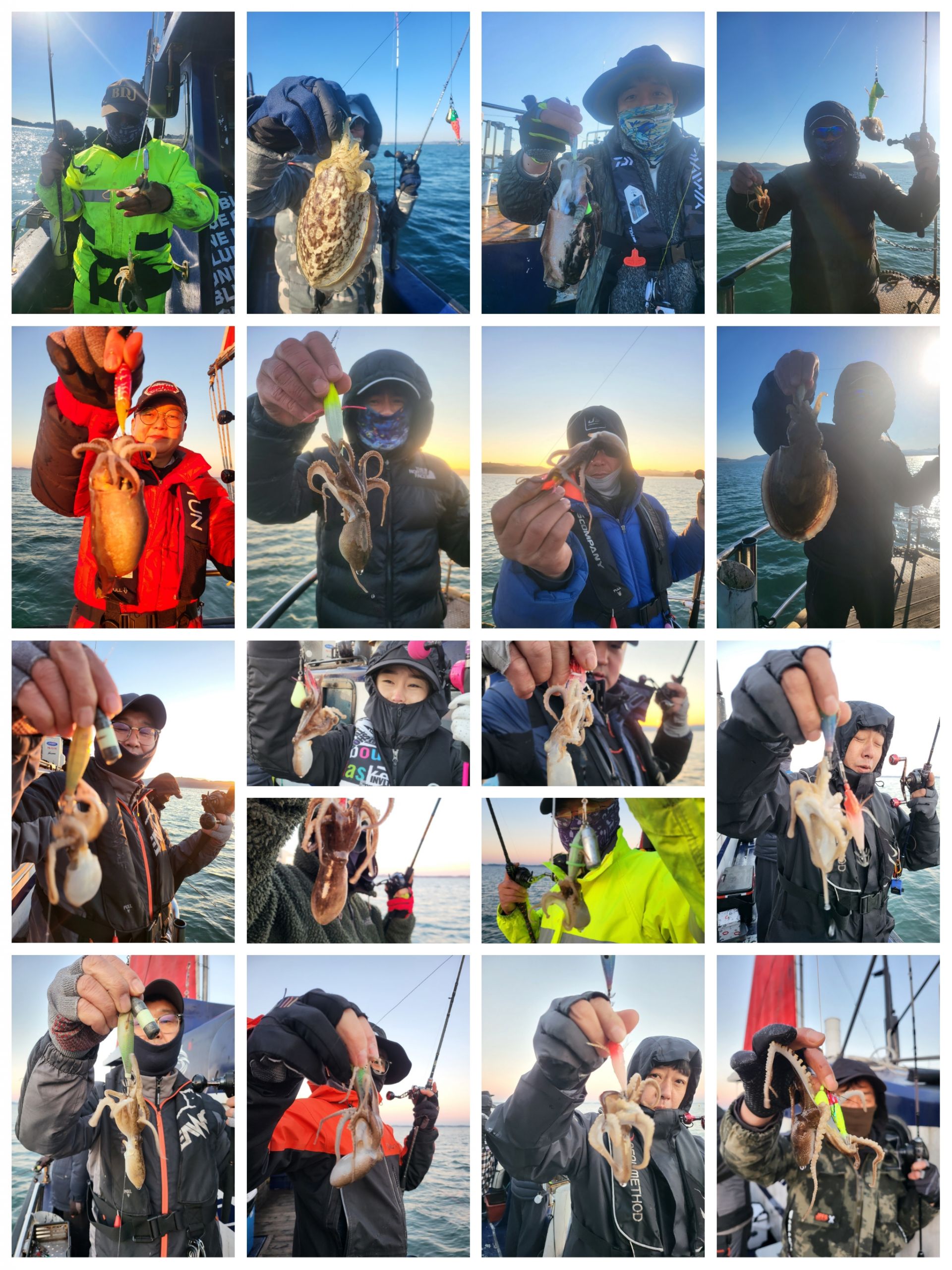 블루원 11월3일 주꾸미 조황