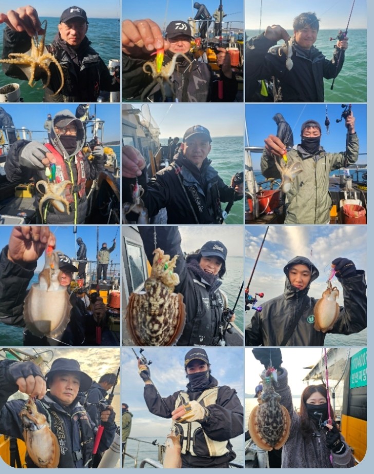 11월 16일 대성호  주꾸미조황입니다