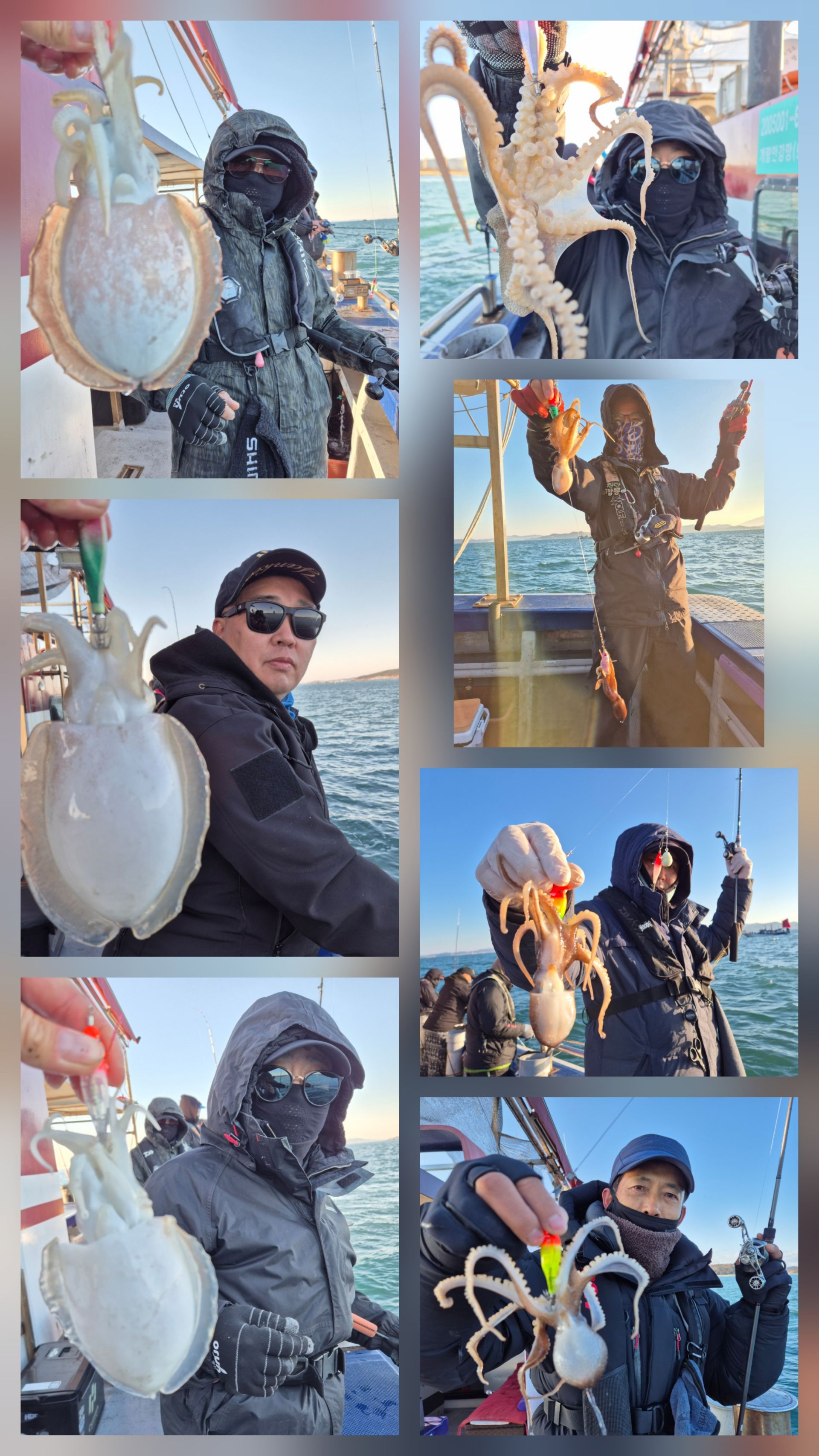 11월28일 뉴대성호 주꾸미조황