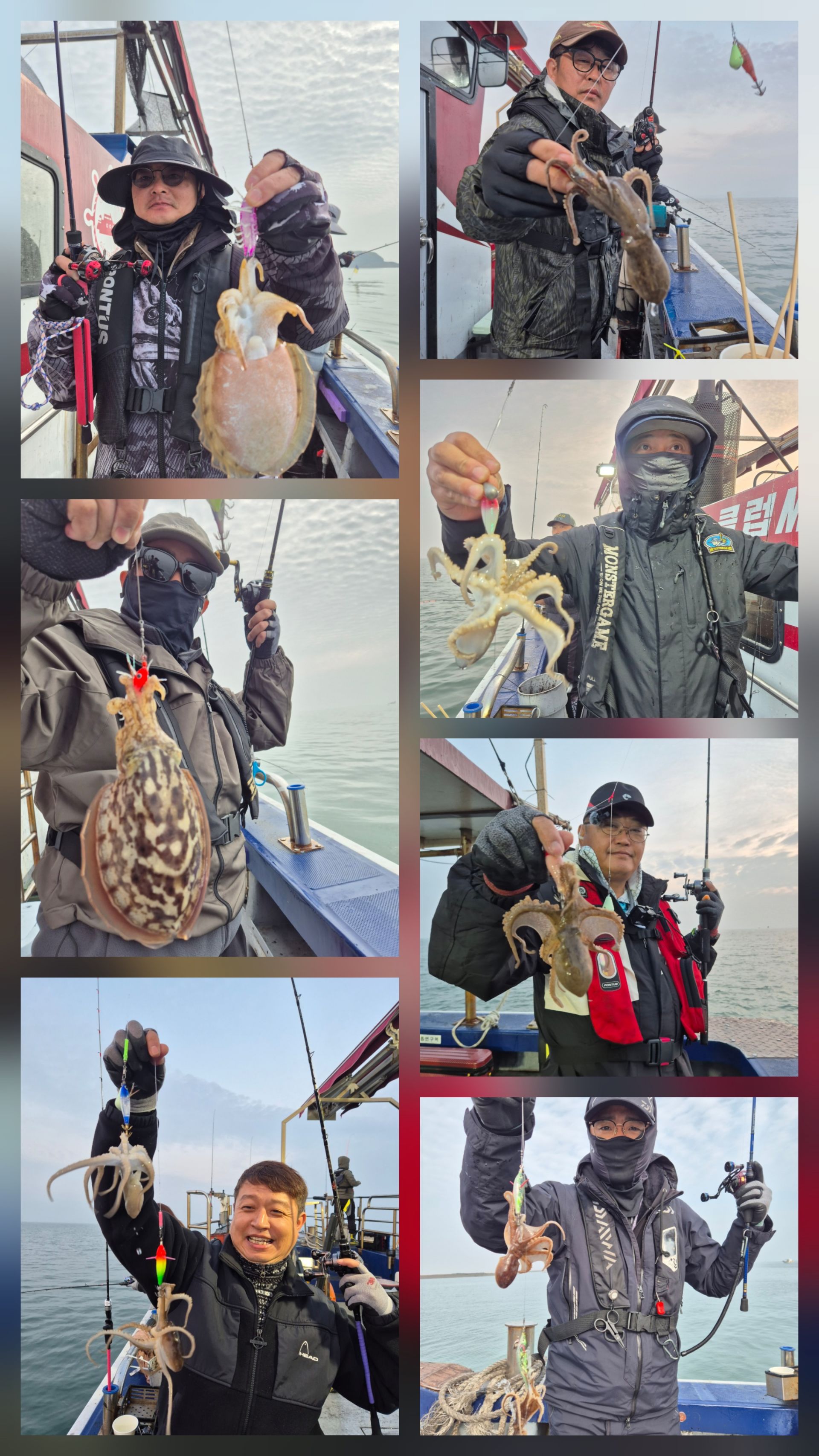 11월7일 뉴대성호 주꾸미조황