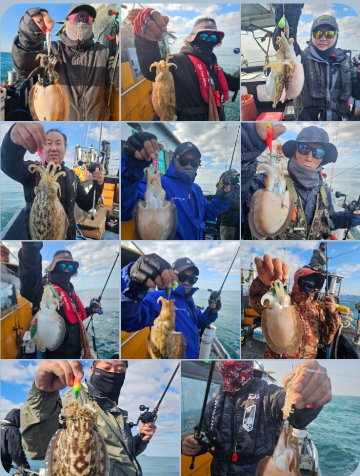 11월 14일 대성호 주꾸미? 조황입니다~~ㅋ