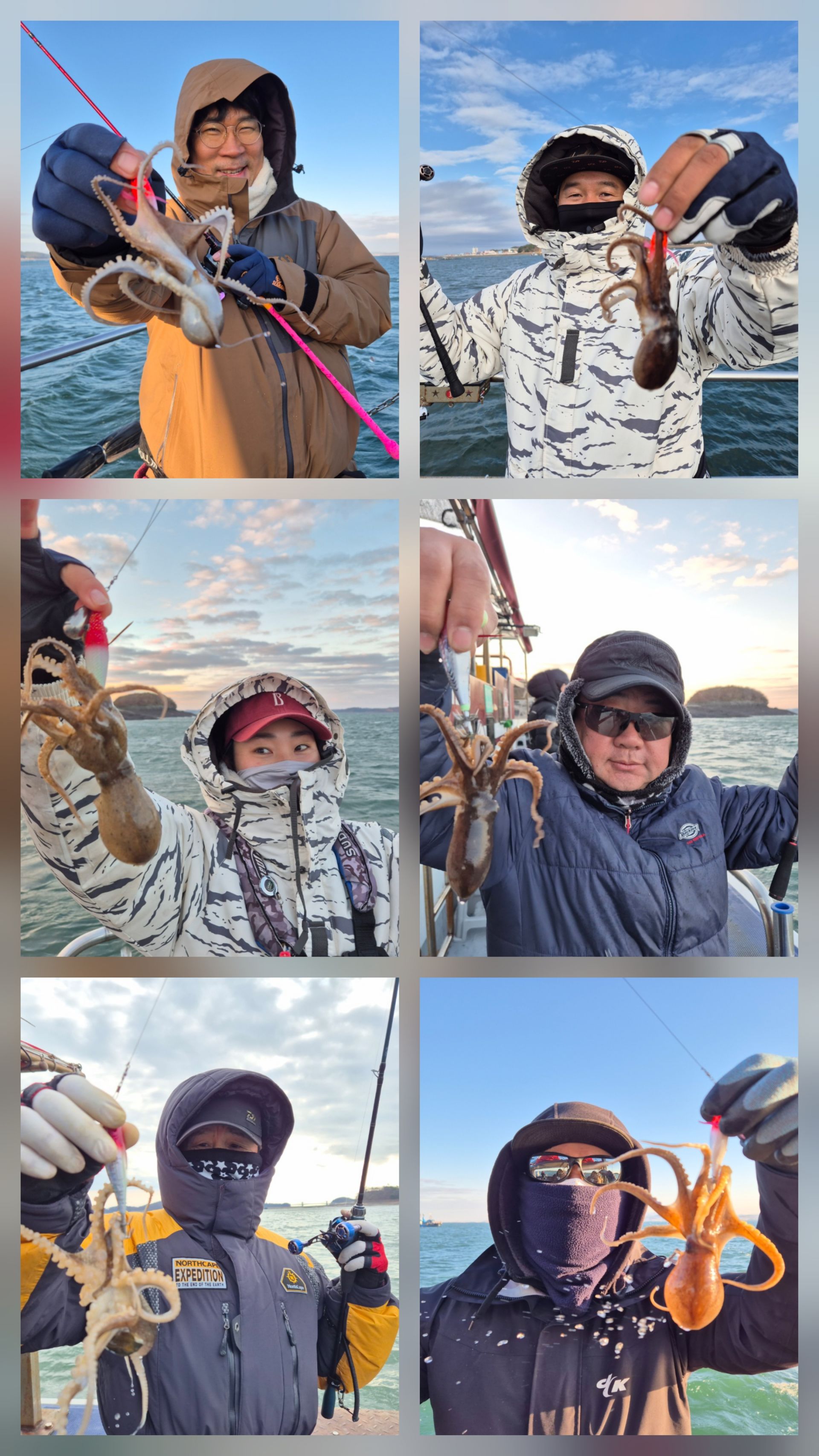 12월6일 뉴대성호 주꾸미조황