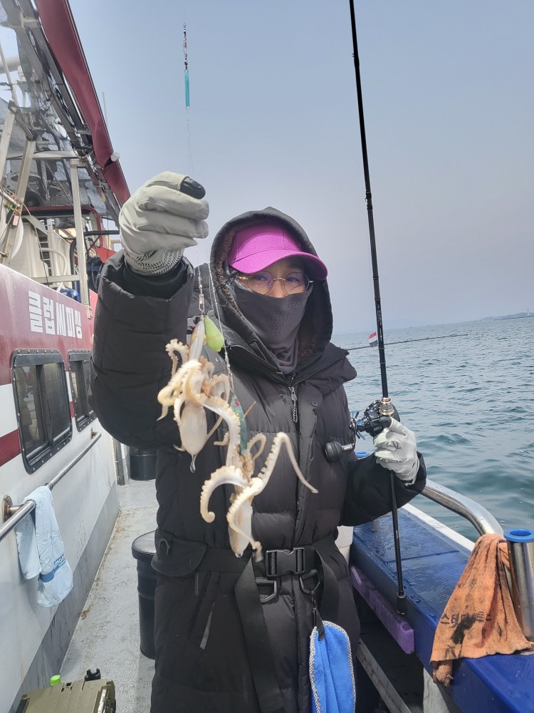 12월10일 뉴대성호 주꾸미조황