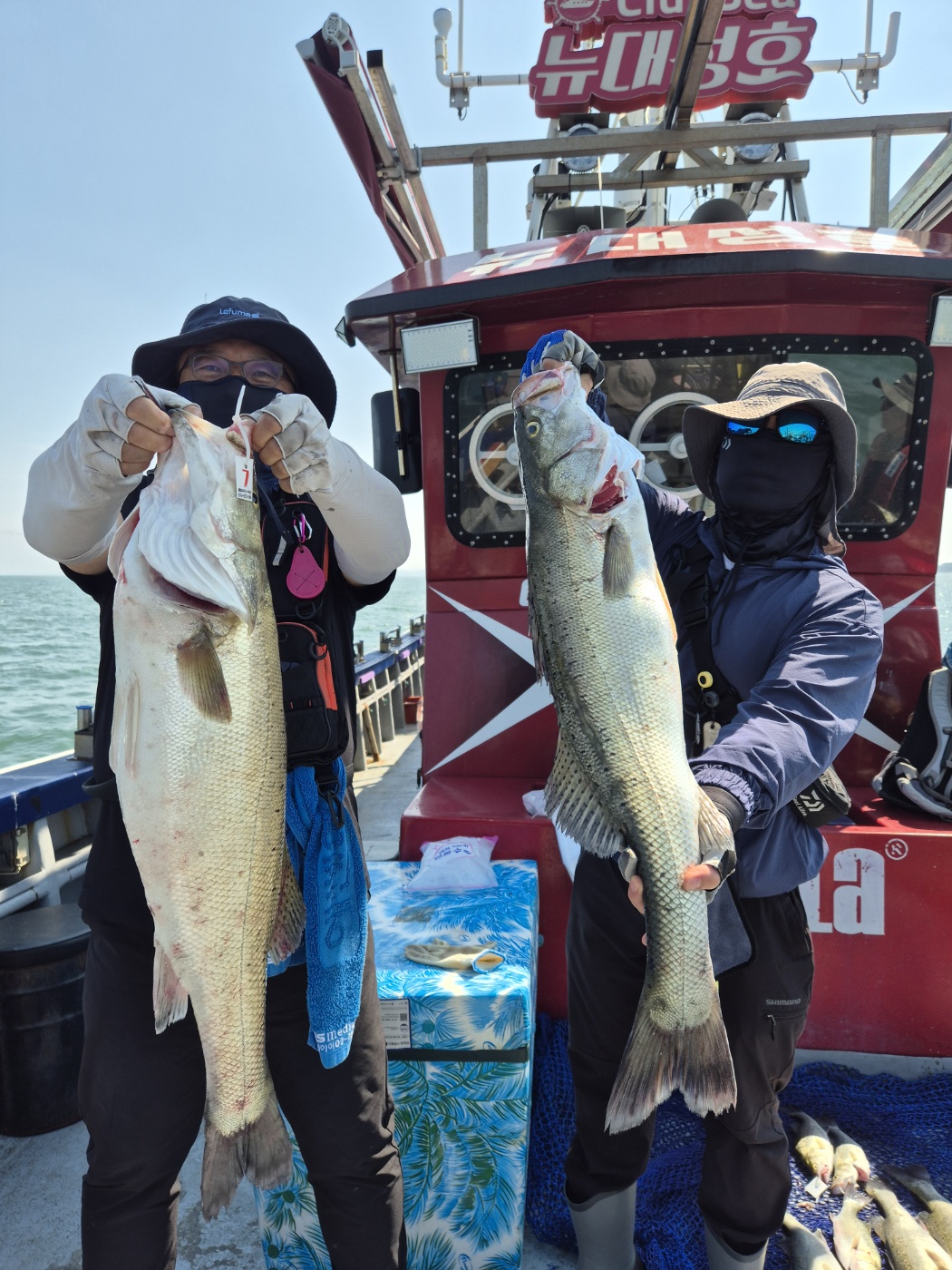 6월12일 뉴대성호 농어외수질조황