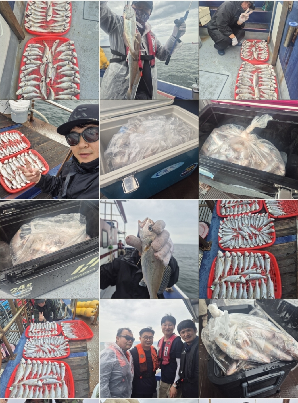 8월21일 뉴대성호 백조기조황